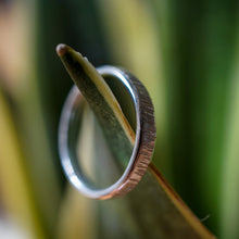 Lade das Bild in den Galerie-Viewer, Fin
