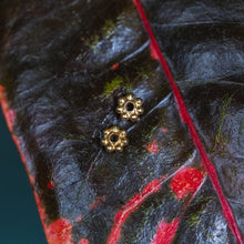 Lade das Bild in den Galerie-Viewer, Ohrstecker Petite Fleur
